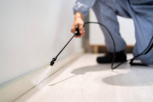 Licensed Fumigation Services service in Mountain Home, NC - Nex Pest Control