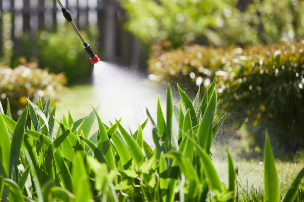 24/7 Emergency Fumigation Services experts in Mountain Home, NC
